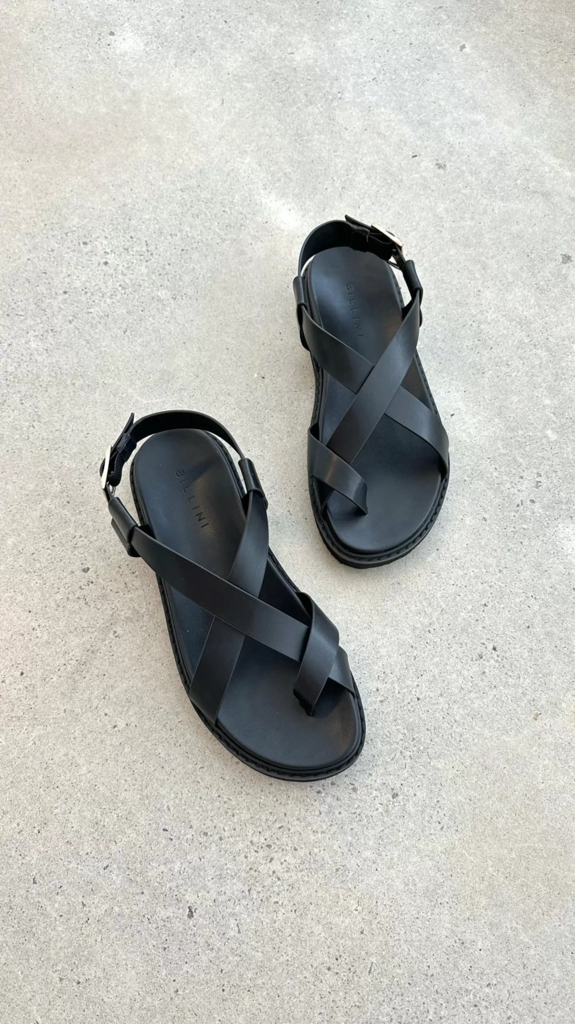 Zarai Slide - | Billy J Cheap